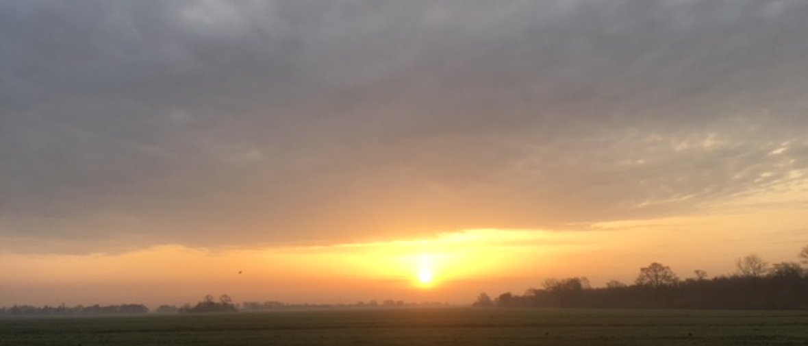 Ochtend in het Loetbos